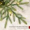 Pre Lit Aspen Noble Fir Christmas Tree, 1,500 Twinkling Micro LED Lights, 3,000 Branch Tips, Cordless Setup, Full & Realistic